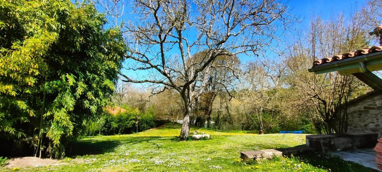 Ferienwohnung Entre Galets Sauveterre-de-Bearn Exterior foto